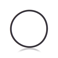 Back Camera Lens O-Ring Gasket Compatible For iPhone XR / 11 / 11 Pro / 11 Pro Max / 12 / 12 Mini / 12 Pro (100 Pack)