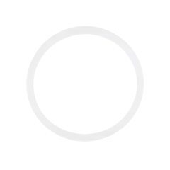 Back Camera Lens O-Ring Gasket Compatible For iPhone 8 / SE (2020) / SE (2022) (100 Pack)