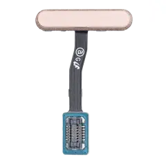 Power & Fingerprint Reader With Flex Cable Compatible For Samsung Galaxy S10E (Flamingo Pink)