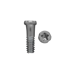 Screw Box 2.0 Refill [ 1R2 ] (100 Pack)