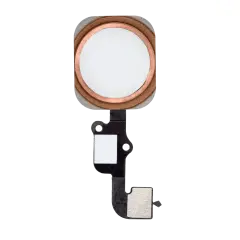 Home Button With Flex For iPhone 6S / 6S Plus (Rose Gold)