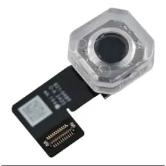 Back Camera Compatible For iPad Mini 7 (2024) (WiFi / Cellular) (Genuine OEM)