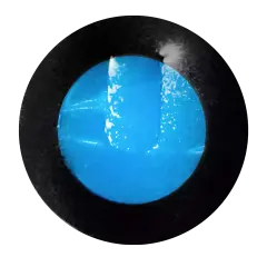 Back Camera Lens (Ultrawide) Adhesive Tape Compatible For Motorola Thinkphone (XT2309 / 2023) (Genuine OEM)