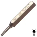 S2 Steel Screwdriver Bit (T5)