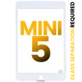 Digitizer Compatible For iPad Mini 5 (Glass Separation Required) (Premium) (White)