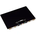 LCD Panel Only Compatible For MacBook Pro 16" (A2141) (Compatible With All Years)