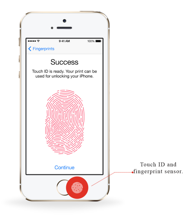 Microphone-and-speakers